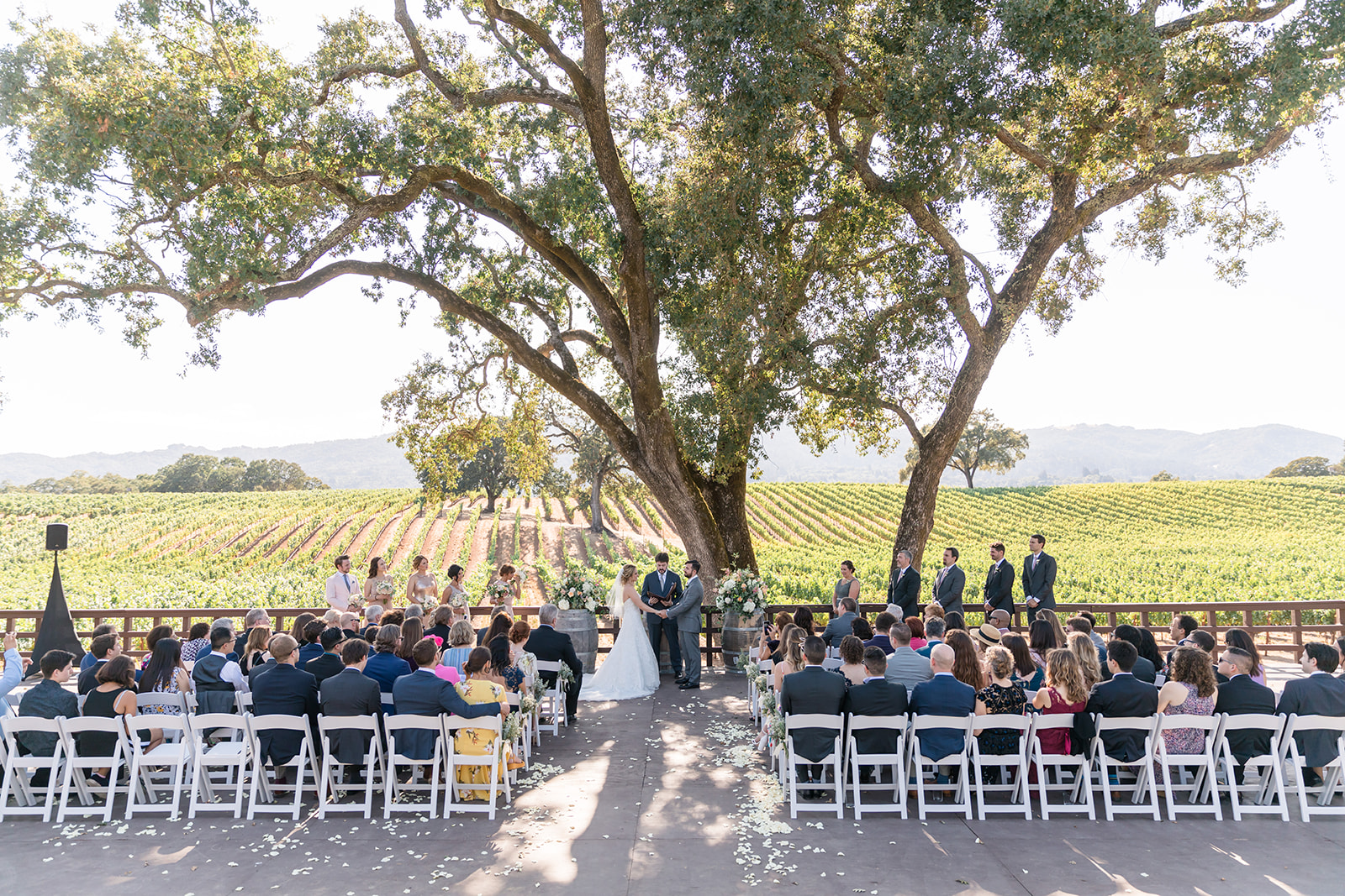 The Best Vineyard Wedding Venues in Sonoma